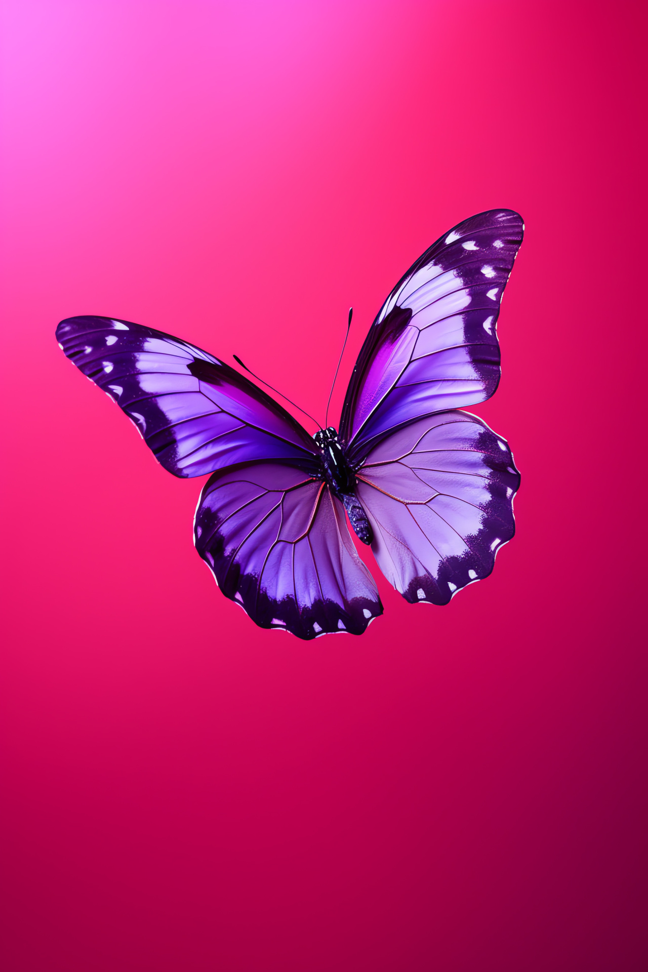 Pink and Purple Butterfly, vibrant red accent, flitting insect, nature's canvas, ethereal flutter, HD Phone Image