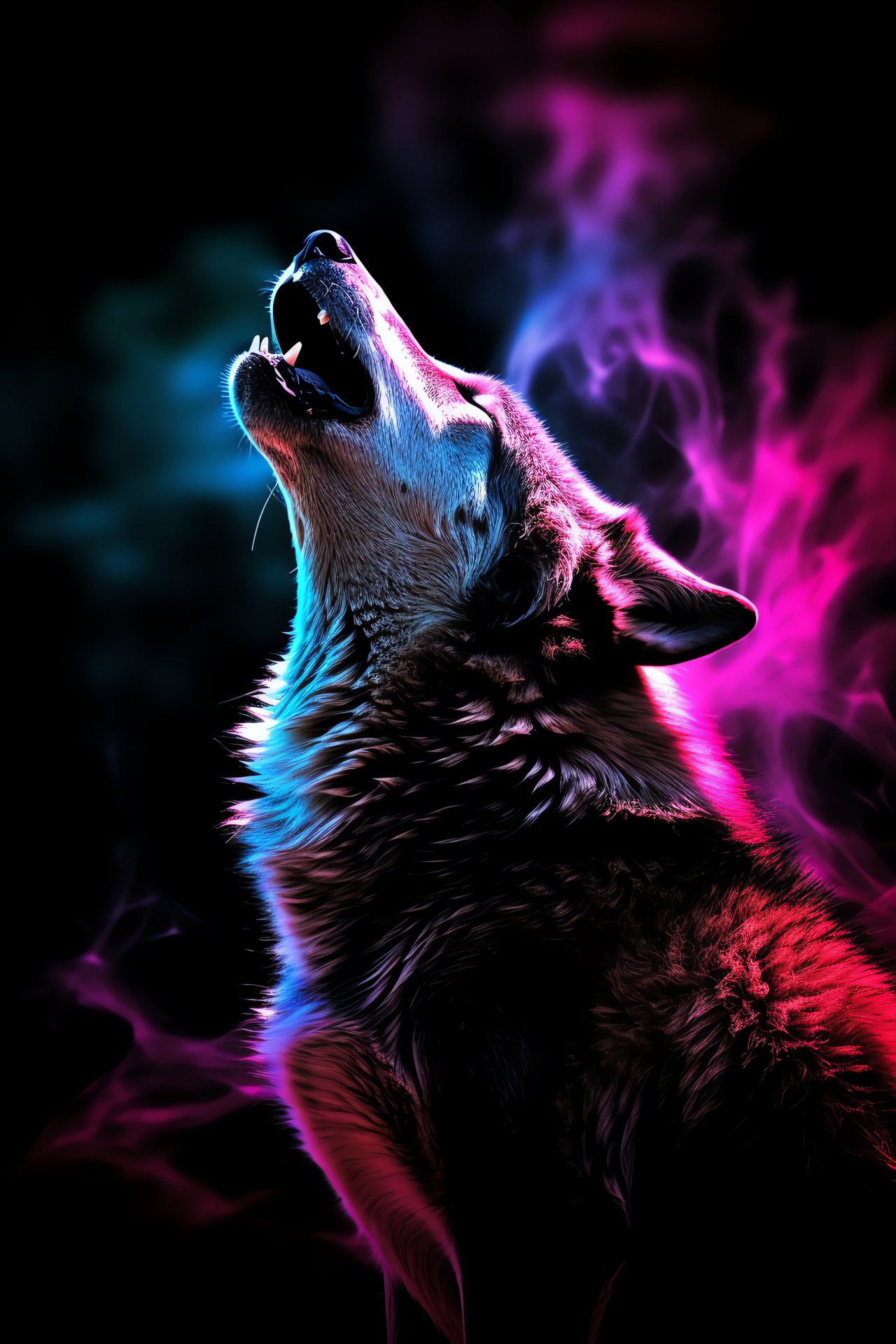 Nocturnal canid, Black wolf, Wild solitude, Celestial sky, Pinewood forest, HD Phone Image