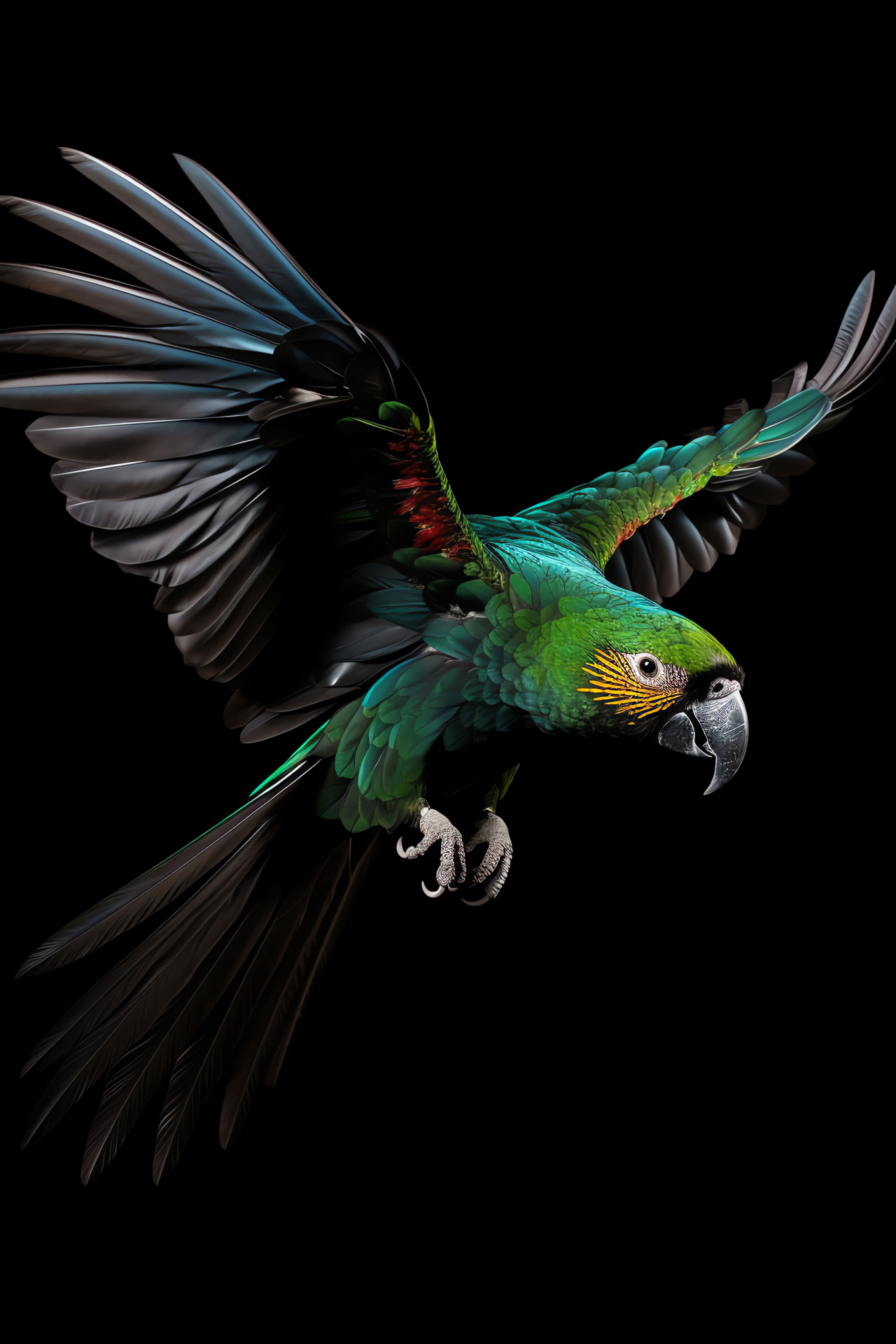 Parrot, flight motion, black background, freedom essence, feather details, HD Phone Wallpaper