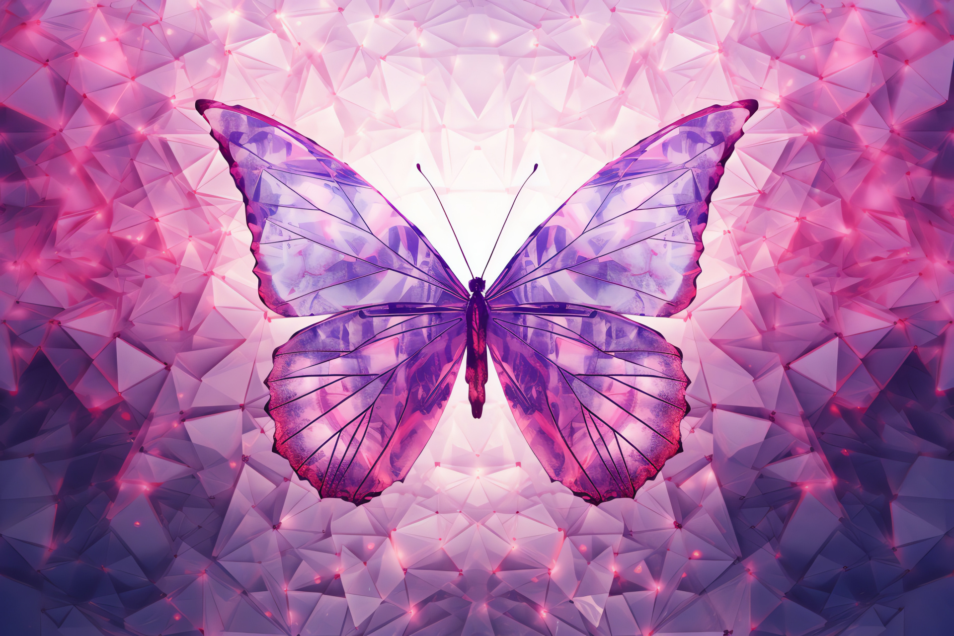 Pink and Purple Butterfly, wingspan display, patterned beauty, natural geometry, Lepidoptera family, HD Desktop Wallpaper