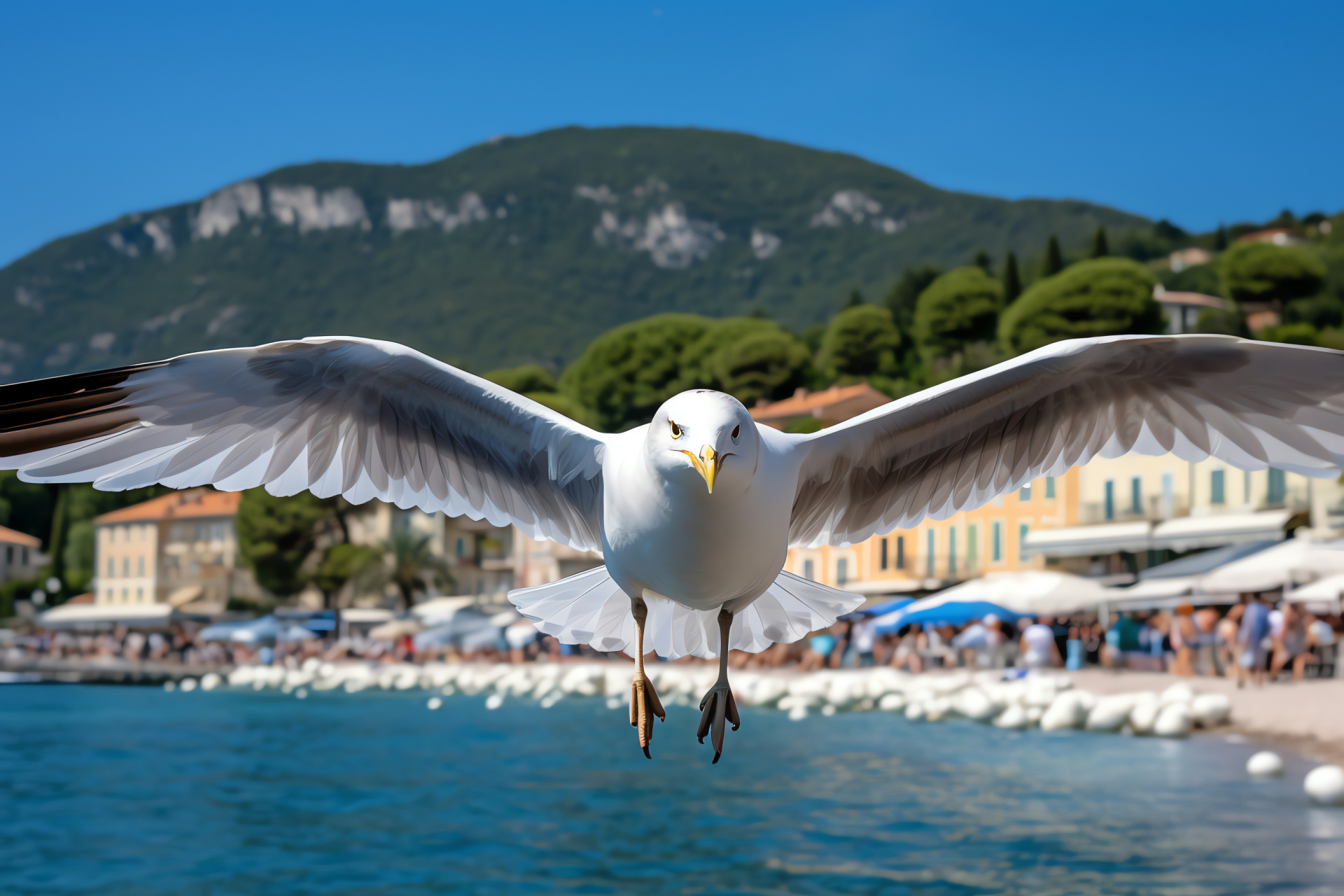 Seagull soaring, coastal birdwatching, seaside avifauna, human interaction in habitat, marine environment, HD Desktop Wallpaper