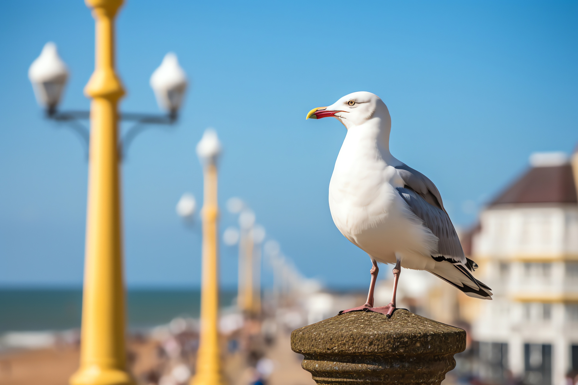 Seaside seagull, Bird in urban setting, Coastal lamp post, Bird vantage point, Nautical bird, HD Desktop Wallpaper