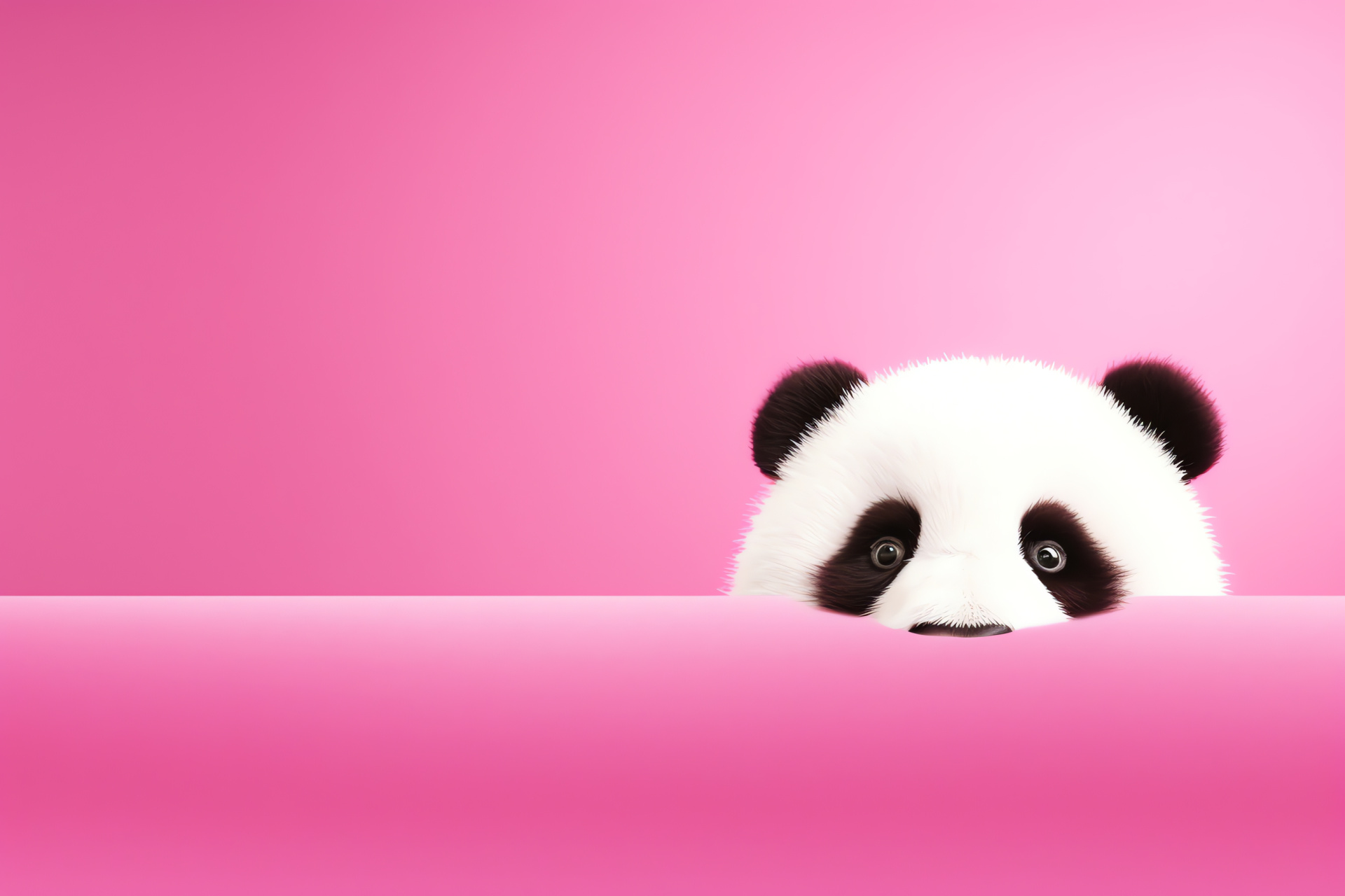 Carnelian-eyed Panda, Cherry blossom fur, Dual-toned wildlife, Broad animal aspect, Unicolor backdrop, HD Desktop Image